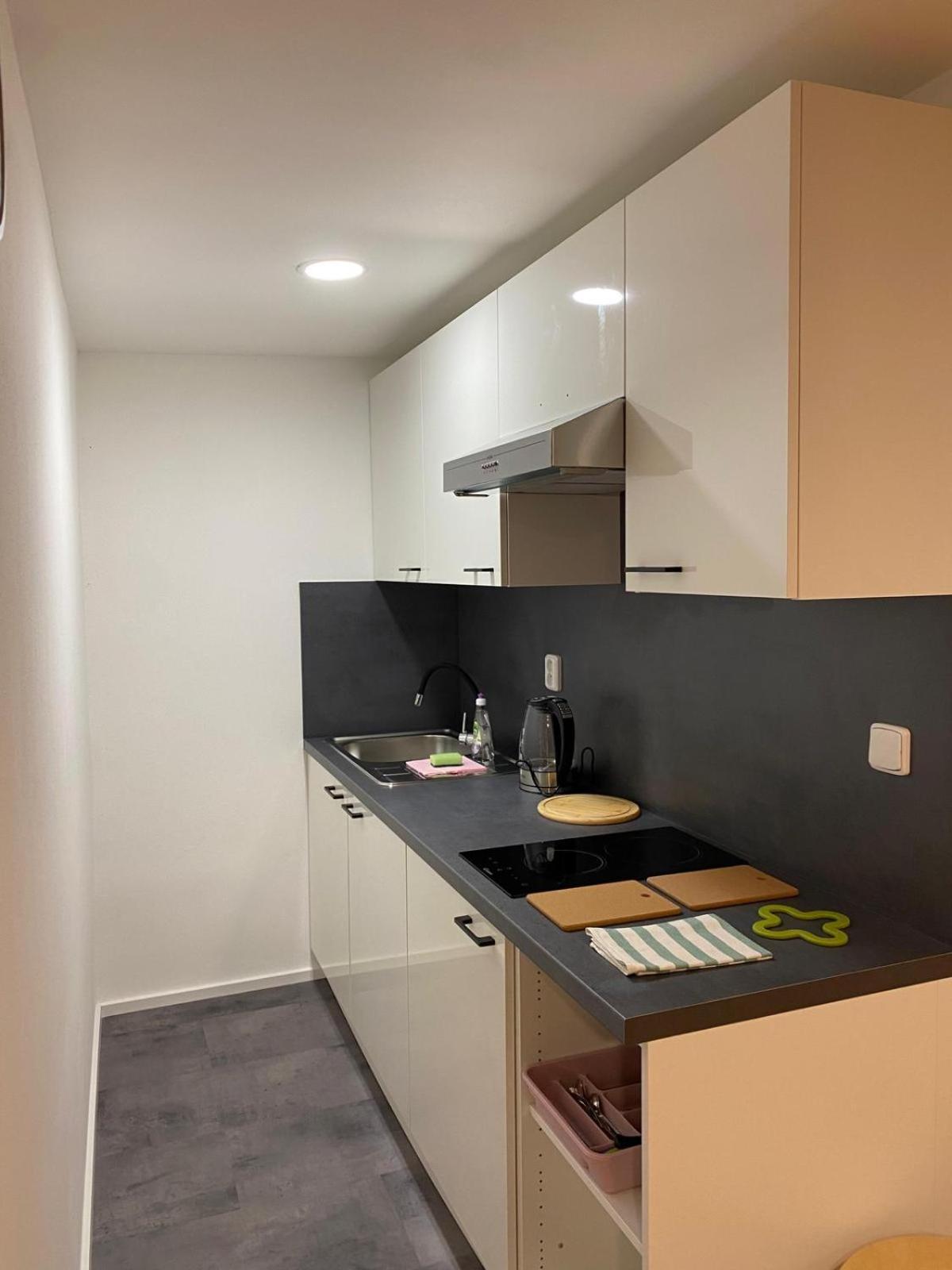 Appartamento Pod Lipou Liberec Esterno foto