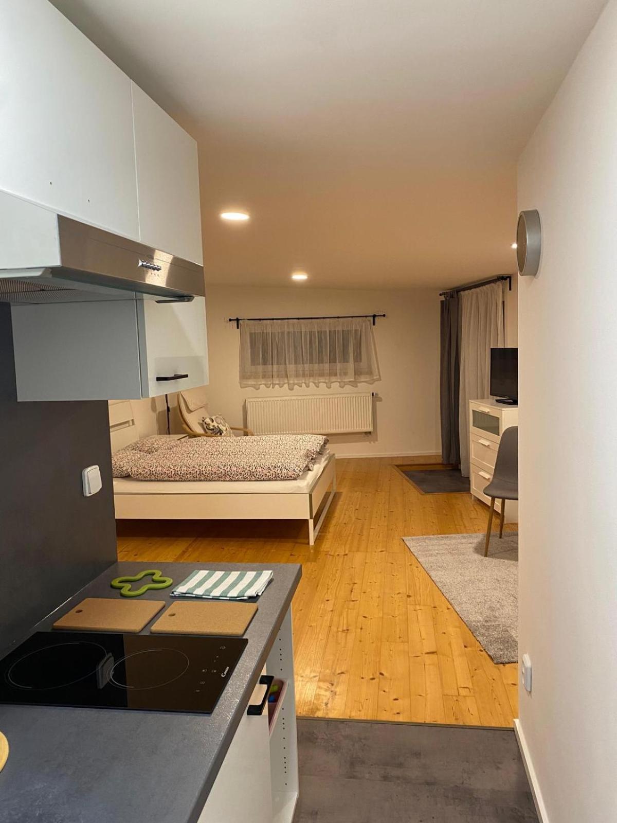 Appartamento Pod Lipou Liberec Esterno foto